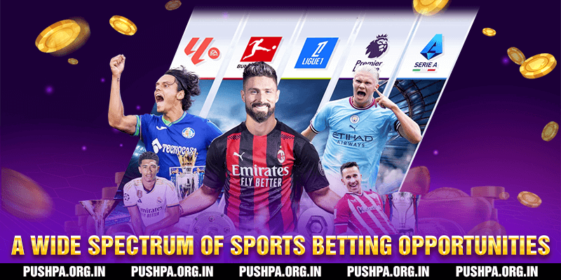A Wide spectrum of Sports betting opportunities